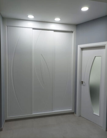 Puerta y Armario de diseño
