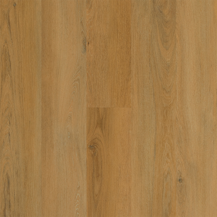 Bosque Bermejo Bosque Bermejo - Imagen 1