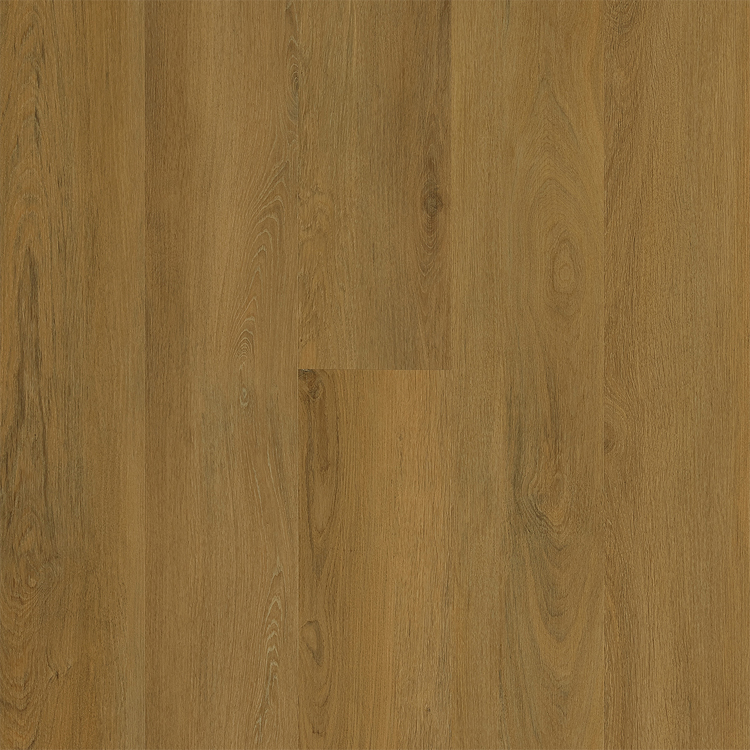 Siena Castaño Siena Castaño - Imagen 1