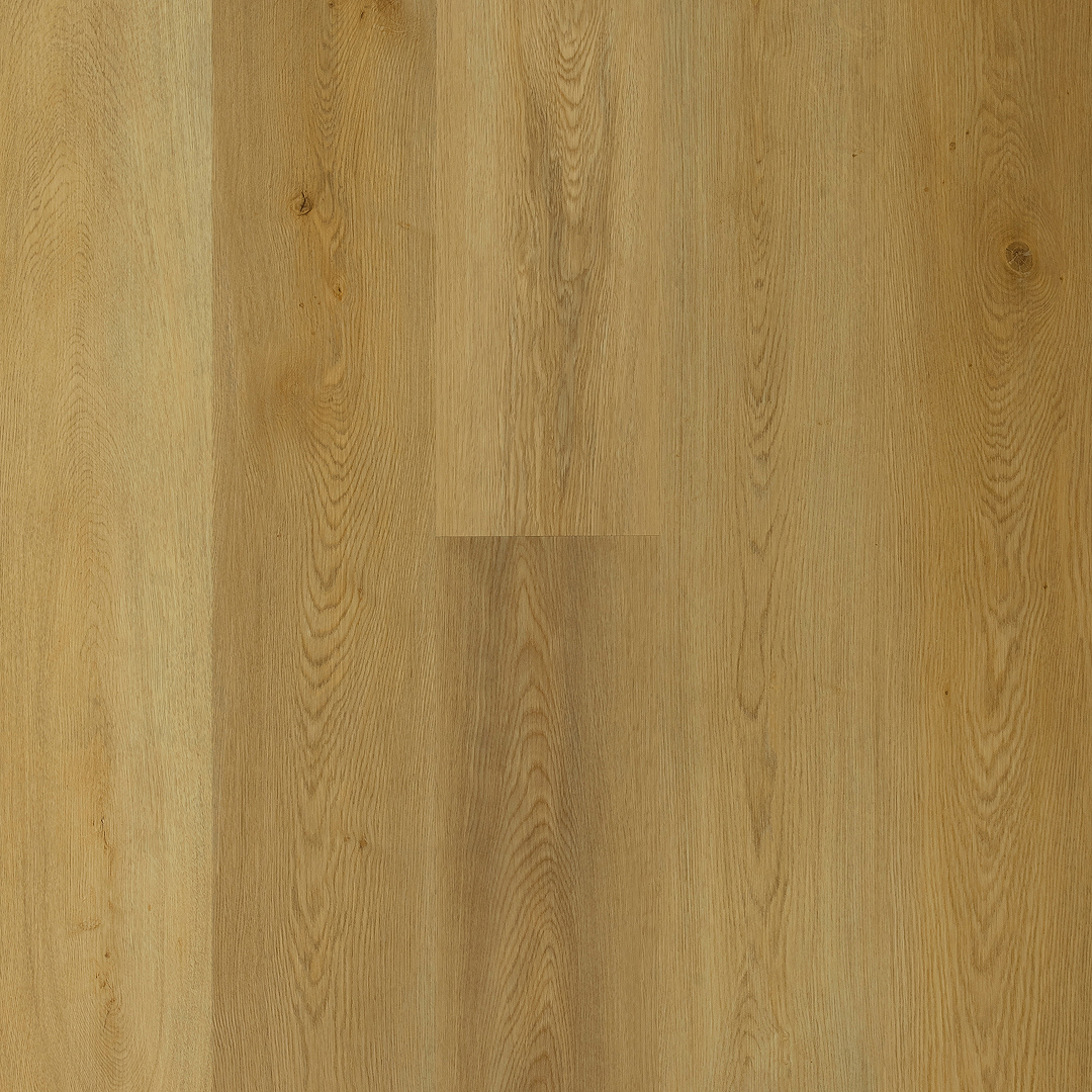 Taiga Natural Taiga Natural - Imagen 1